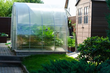 Evin yakınındaki bahçede sebze yetiştirmek için sera.