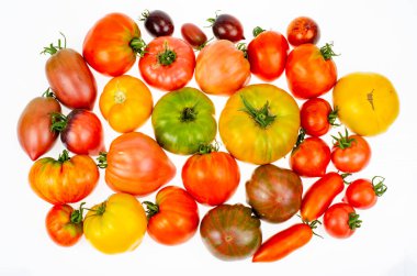 Beyaz arka planda farklı renkte domatesler. Stüdyo Fotoğrafı.
