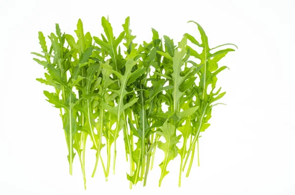 Färska Gröna Gården Ruccola Blad För Matlagning Användning Studiofoto — Stockfoto