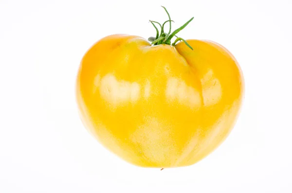 Verse Gele Tomaten Geïsoleerd Witte Achtergrond Foto Van Studio — Stockfoto