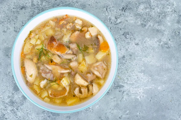 Delicious Homemade Soup Wild Mushrooms Studio Photo — Stock Photo, Image