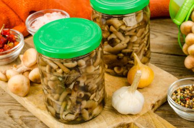 Cam kavanozda yabani mantar turşusu. Ev yapımı hazırlıklar. Stüdyo Fotoğrafı.
