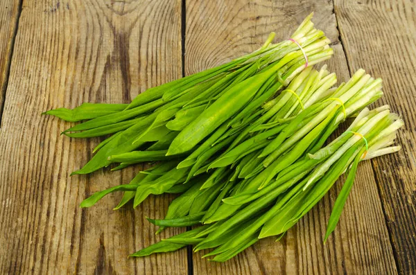 Brotes Jóvenes Verdes Allium Ursinum Estudio Foto —  Fotos de Stock