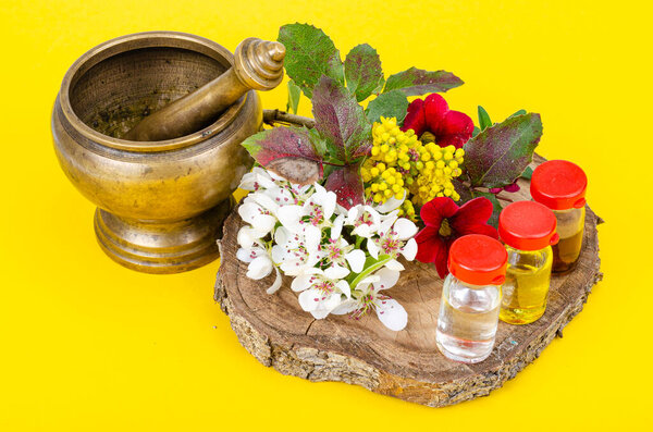 Use of medicinal plants in alternative medicine. Studio Photo.