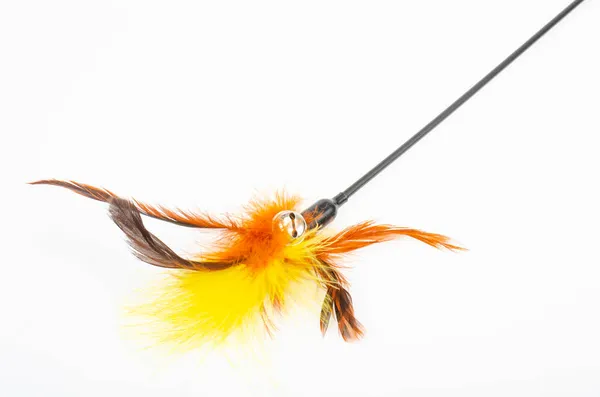 Pet Toys Stick Colored Feathers Cat Studio Photo — Stock Photo, Image