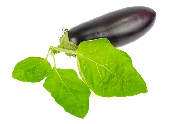 成熟的黑色紫色茄子 白色背景上有绿色尾巴 — 图库照片