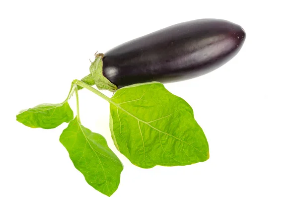 成熟的黑色紫色茄子 白色背景上有绿色尾巴 — 图库照片