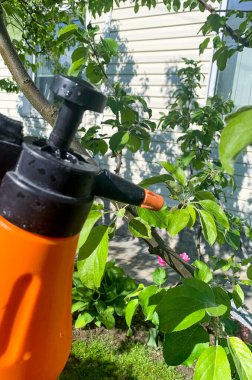 Bitki spreyinin mantar ilaçlarıyla hastalıklara ve haşerelere karşı tedavisi. Stüdyo Fotoğrafı.