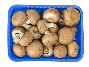  Hampignon kraliyet kahverengisi paketleniyor. Stüdyo Fotoğrafı