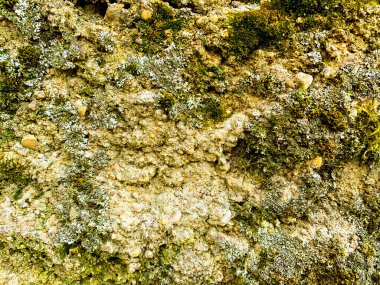 Eski bir tuğla parçası hasarlı duvarda.