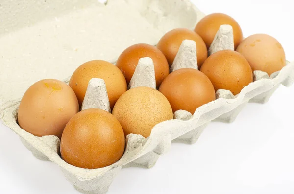 紙容器に新鮮な鶏の卵の色 スタジオ写真 — ストック写真