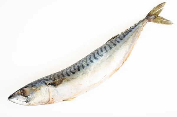 Ακατέργαστα Κατεψυγμένα Ψάρια Σκουμπριού Λευκό Φόντο Φωτογραφία — Φωτογραφία Αρχείου