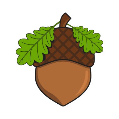 Yeşil meşe yapraklı meşe palamudu dekoru..