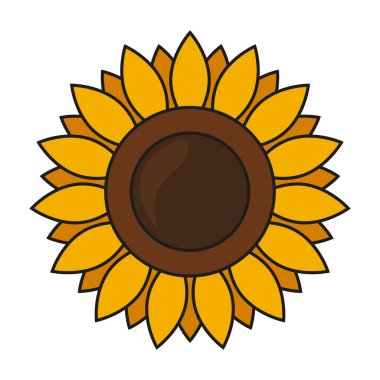 Beyaz arkaplanda vektör ayçiçeği.