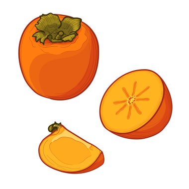 Renkli bir hurma seti. Yarım bir hurma. Bir dilim Persimmon. İzole vektör illüstrasyonu.