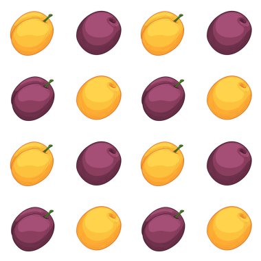 Beyaz arka planda izole edilmiş renkli erikler. Kusursuz vektör deseni.