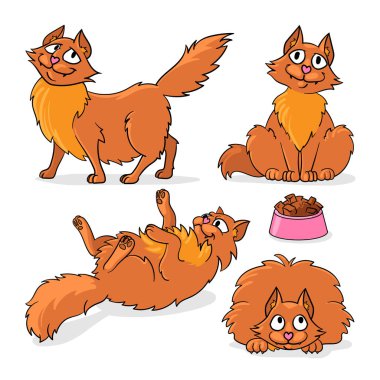 Farklı pozlarda, beyaz arka planda izole edilmiş kediler. Karakter tasarımı. Çizgi film biçimi, Vektör illüstrasyonu.