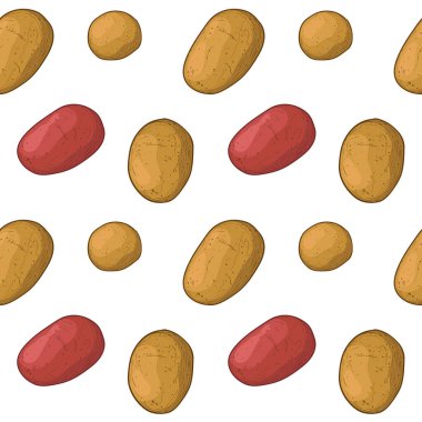 Farklı patatesler, izole edilmiş vektör çizimi. Patates pürüzsüz desen.
