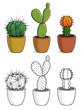 Renkli kaktüs seti ve ana hatları. Tasarım için kaktüs beyaz arkaplanda izole.