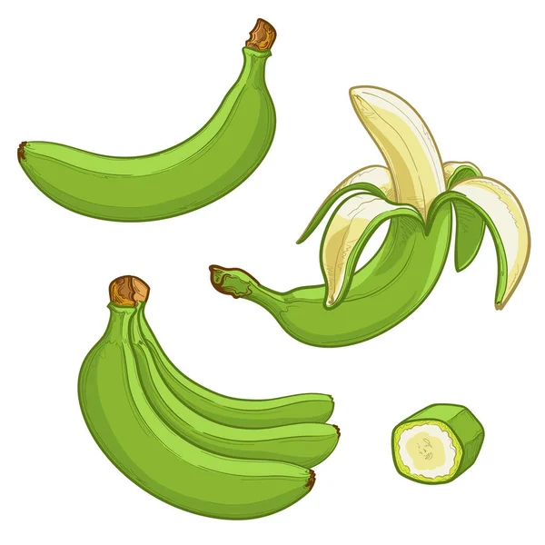 Bananas Verdes Inteiras Descascadas Fatiadas Coleção Ilustração Vetorial Isolada Sobre — Vetor de Stock
