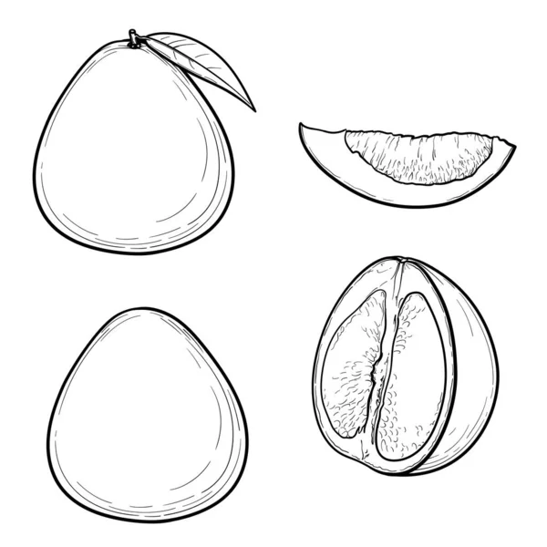 Owoce Pomelo Wyizolowane Białym Tle Ilustracja Wektora — Wektor stockowy