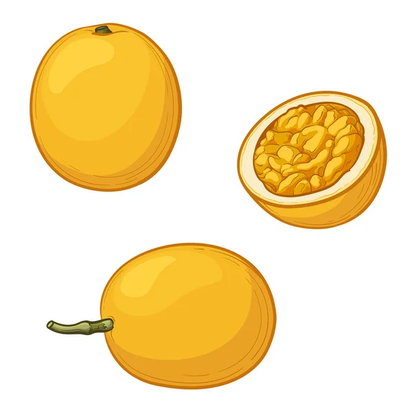 Żółty Owoc Namiętności Ilustracja Izolowanego Wektora — Wektor stockowy