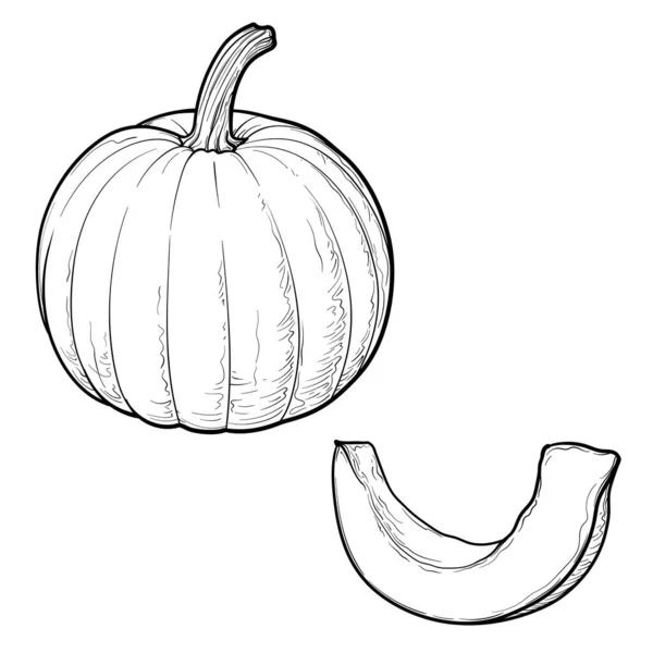 Pumpkin Slice Pumpkin Black White Vector Illustration Isolated White Background — Stock Vector