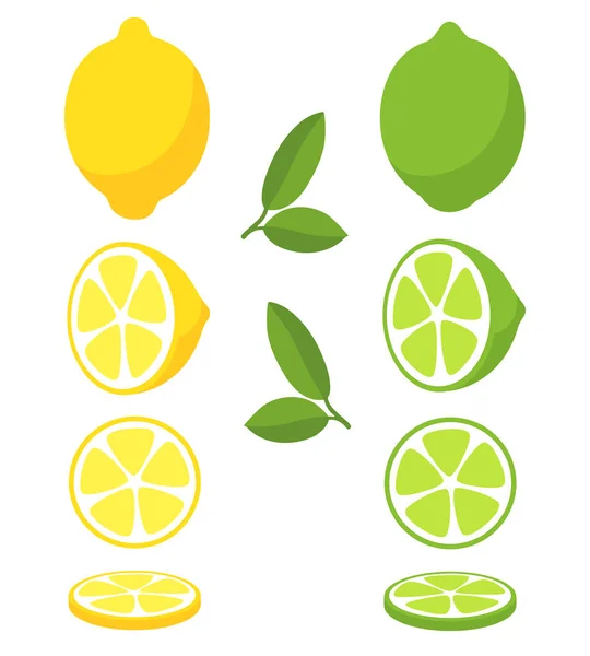Limon Limon Beyaz Arkaplanda Izole Edilmiş Turunçgil Meyvelerinin Vektör Çizimi — Stok Vektör