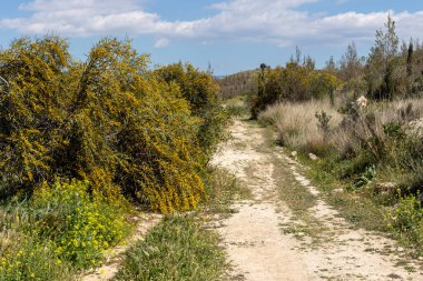 Çevre parkı Peramatos - Atina Bölgesi 'nde (Yunanistan) güneşli bir bahar gününde Schistos