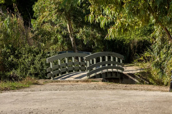 Маленький Деревянный Мост Через Канал Городском Парке Антонис Тритсис Солнечный — стоковое фото