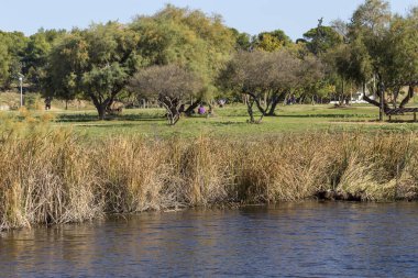 Güneşli bir sonbahar gününde 