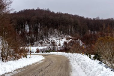 Dağlarda kış. Dağlık bölgelerdeki çam ormanı (Epirus bölgesi, Yunanistan) ve kışın, soğuk ve karlı bir günde köy yolu