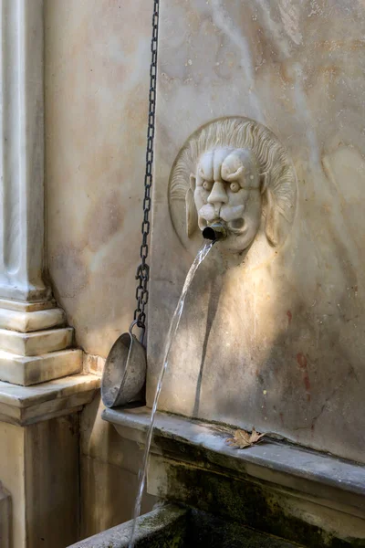 Uma Fonte Pedra Forma Uma Cabeça Leão Close Com Água — Fotografia de Stock