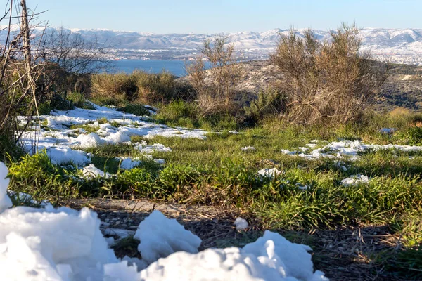 Vista Sobre Parque Ambiental Peramatos Schistos Distrito Atenas Grecia Día — Foto de Stock