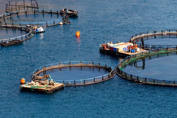 Food industry. Growing fish in the open sea, view of the ponds with fish, mountains and sea (Greece)
