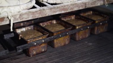 Çavdar ekmeği üretimi otomatikleştirilmiş makine ve fırın fabrikasında taşıyıcısı var.