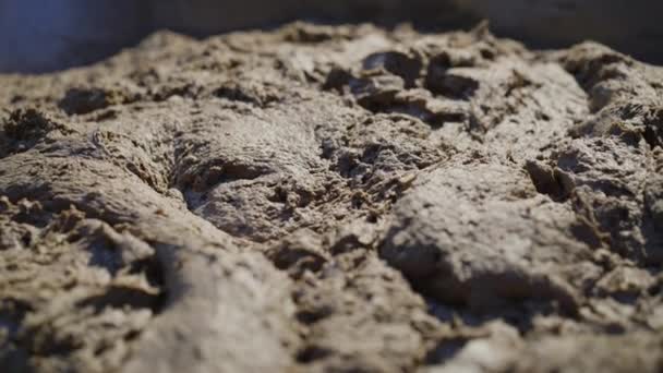 Close view of fermentation of rye dough with bran in a bowl at bakery factory — Stock Video