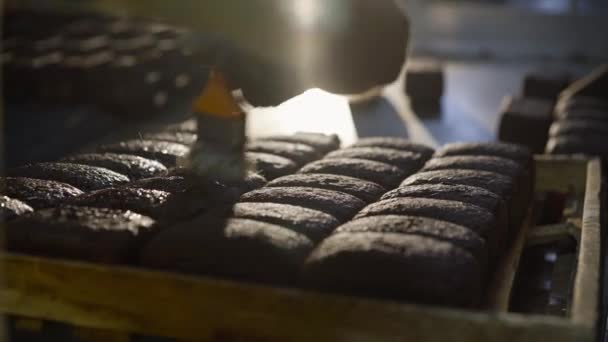 Processo de untar pães de pão de centeio e polvilhá-los com farelo na padaria — Vídeo de Stock