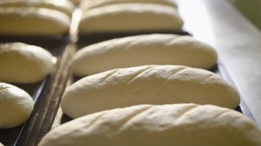 Pişirmeden önce haşhaş tohumlarını çiğ somunların üzerine serpme işlemi