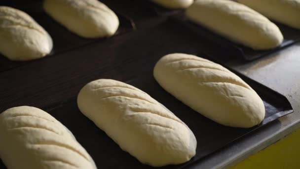 Samice pekař sprejování syrové bochníky chleba před pečením v profesionální peci — Stock video