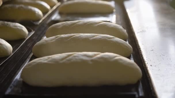 El proceso de hornear pan de trigo. Pulverización y rociado de semillas de amapola sobre panes — Vídeo de stock
