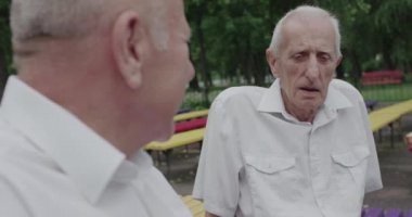 İki eski, mütevazı arkadaşın yaz parkında keyif sohbeti portresi.