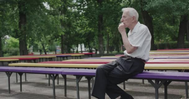 Thoughtful old man sitting alone on park bench, smoking cigarette in summer park — Stock Video