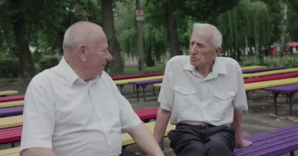 Dos viejos amigos teniendo una agradable charla en el banco del parque en verano — Vídeo de stock