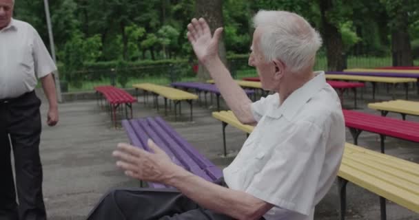 Dva starší muži se scházejí v parku, radují se, objímají a potřásají si rukama — Stock video
