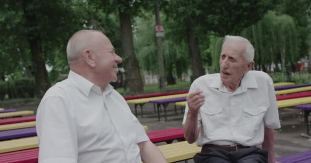 Dois idosos positivos homens se divertindo conversando durante o encontro em um parque de verão — Vídeo de Stock