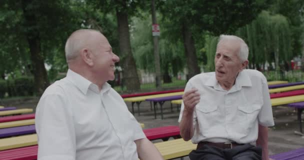 Dva pozitivní senioři muži baví mluvit během setkání v letním parku