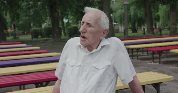 Портрет серого пожилого человека, разговаривающего на скамейке в парке летом — стоковое видео