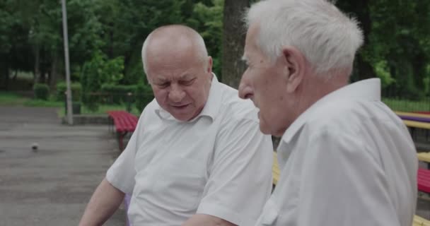 Dos buenos hombres mayores teniendo una conversación divertida durante una reunión en el parque — Vídeo de stock