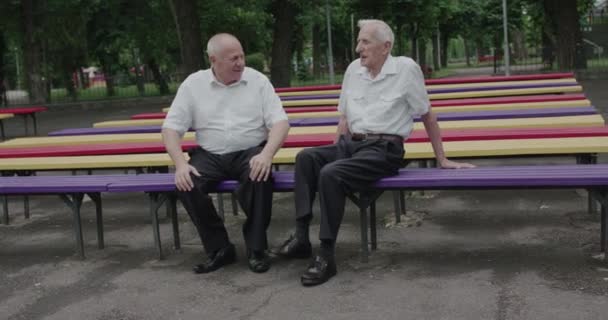 Dos modestos hombres mayores teniendo una conversación divertida durante una reunión en el parque de verano — Vídeos de Stock